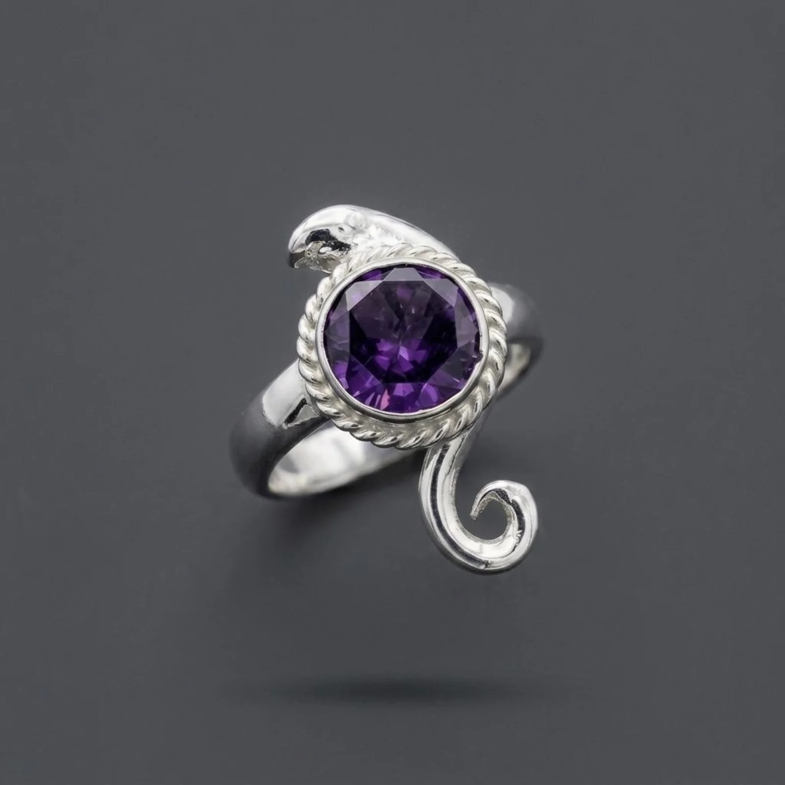 Anillos image00018