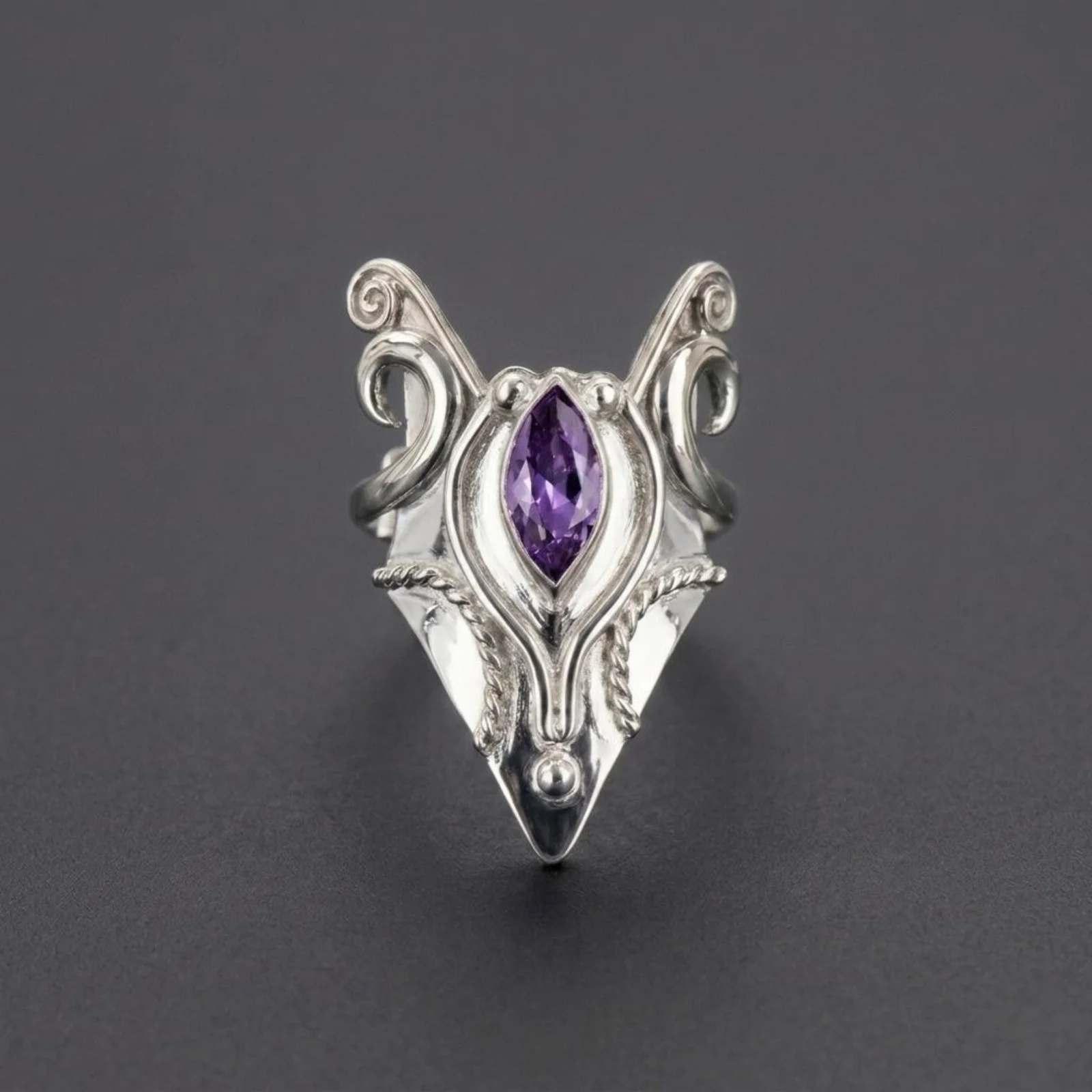 Anillos image00030