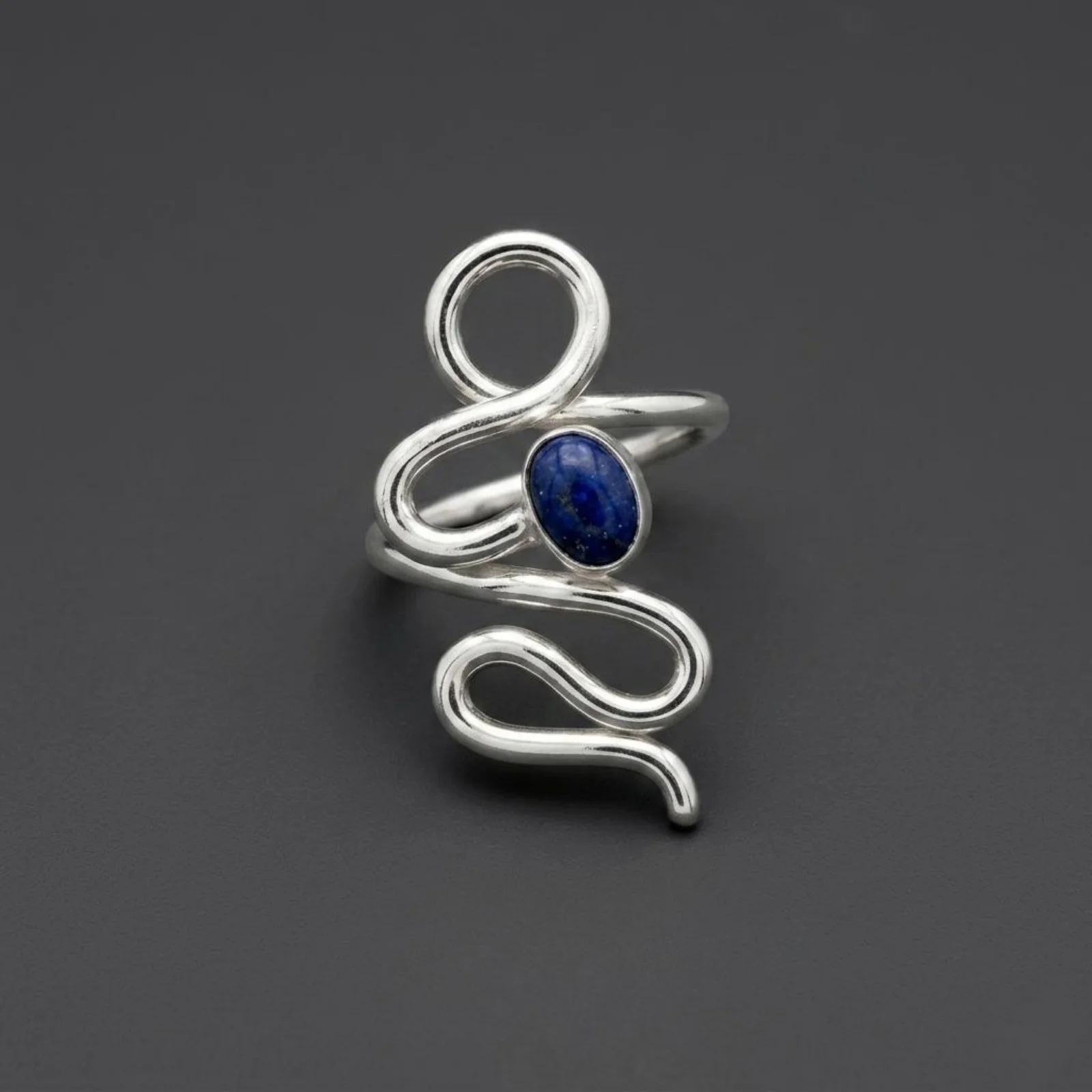 Anillos image00056