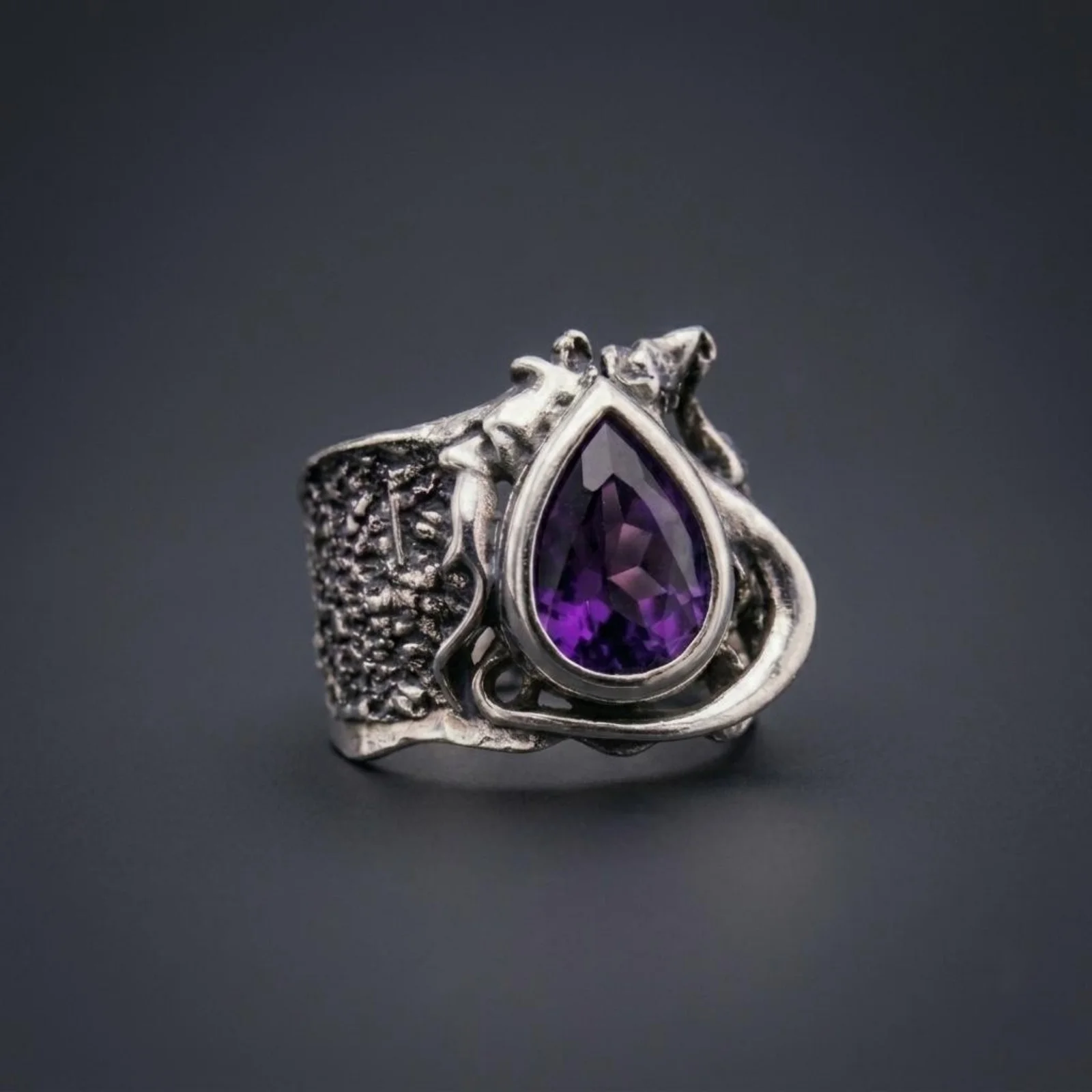 Anillos image00143